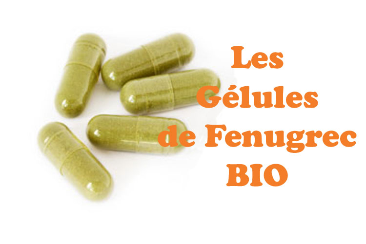 Gélule fenugrec